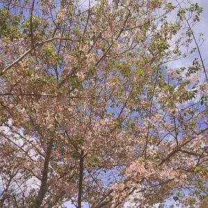 Meet your Posher, Makayla